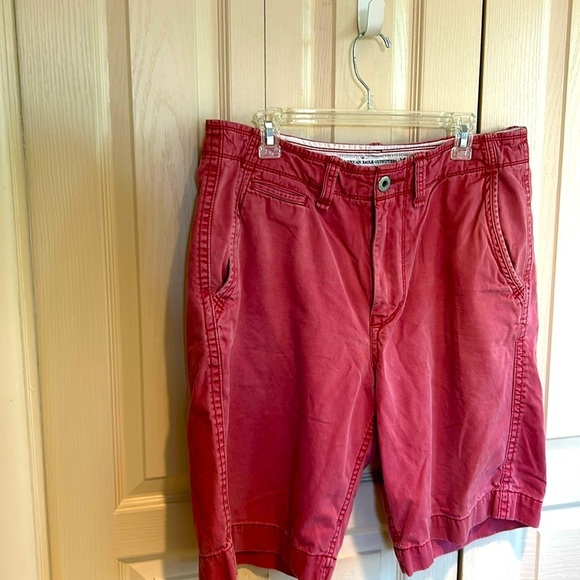 American Eagle Outfutters Mens Rust Color Shorts Size 36 - Picture 1 of 7